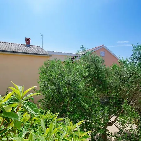 Apartments Toni Banjol Exterior photo